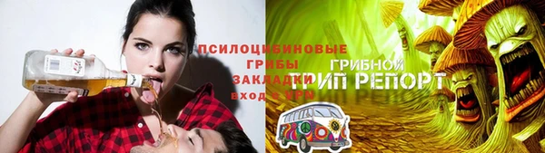 ГАЛЛЮЦИНОГЕННЫЕ ГРИБЫ Балахна